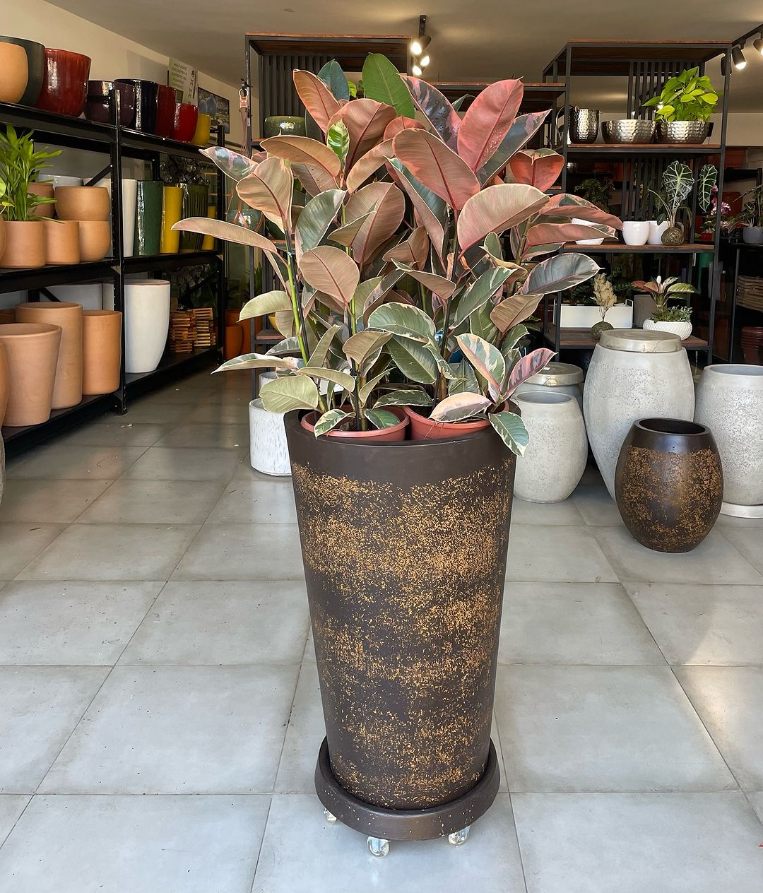 floricultura bh