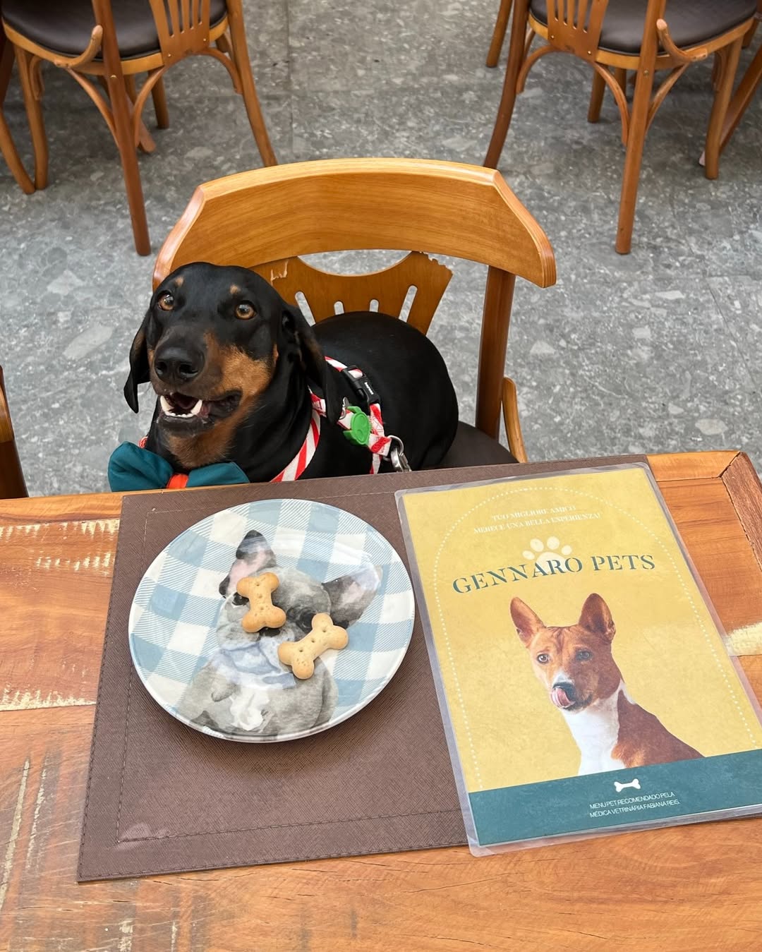 Restaurante pet friendly em BH