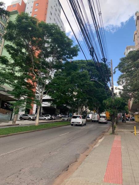 Saiba tudo sobre a Avenida Professor Mário Werneck, no Buritis!