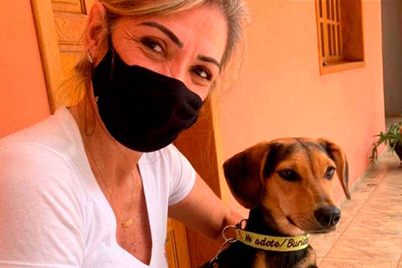 Doação de cachorro em BH: conheça o projeto Buri Dogs