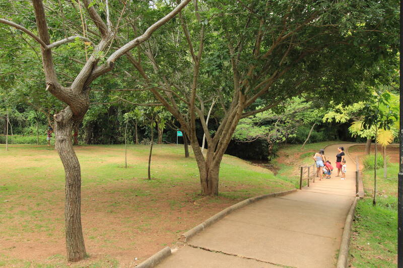 Parques em BH: conheça 13 áreas verdes gratuitas na cidade